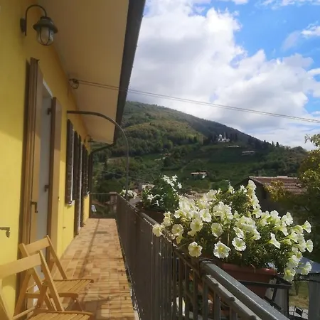 Homestay Abc *